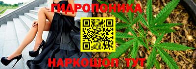 кокс Пенза