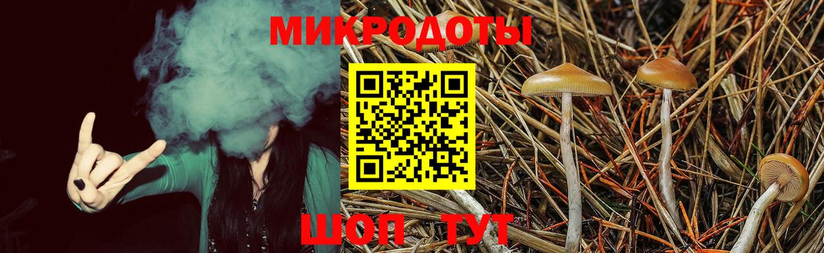Псилоцибиновые грибы Magic Shrooms Саров