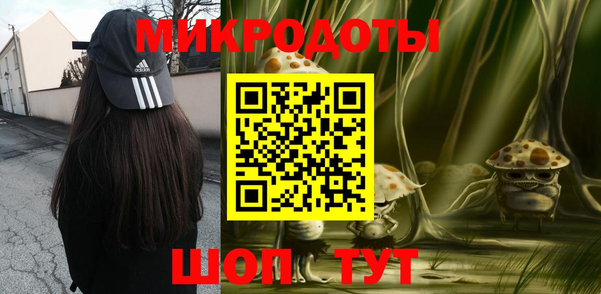 Саров  Псилоцибиновые грибы прущие грибы  Вход с VPN 